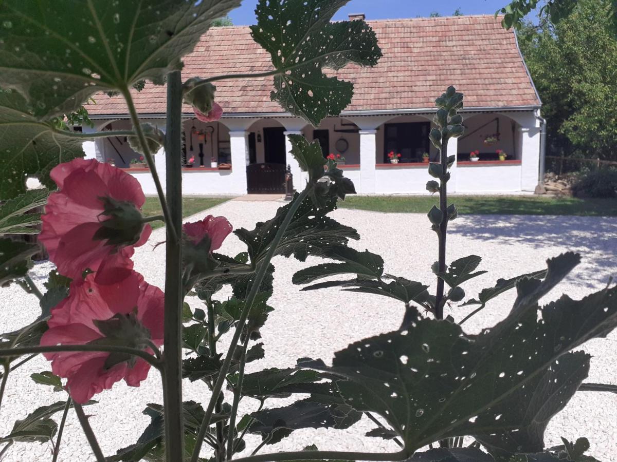 Letűnt Idők Vendégház Kemenesmihalyfa Extérieur photo